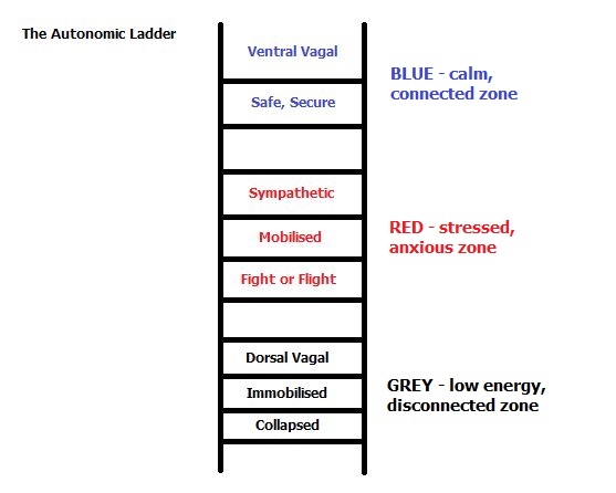 Autonomic Ladder Zones Autonomic Ladder Zones